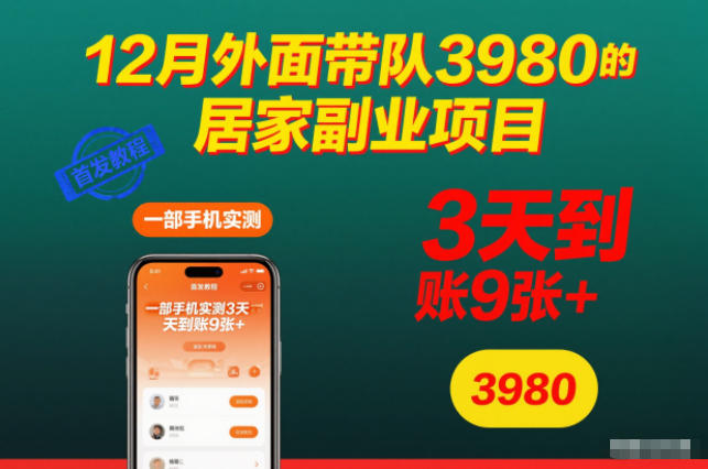 12月外面带队3980的居家副业项目，一部手机实测3天到账9张+，首发教程-紫橙网创项目网