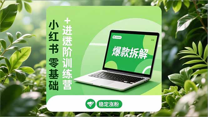 小红书零基础+高阶训练营:安全养号、爆款拆解、长效运营,实现稳定涨粉与变现-紫橙网创项目网