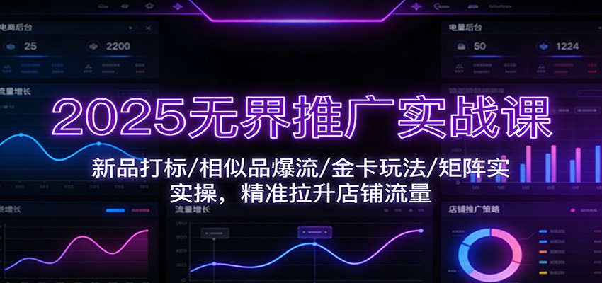 2025无界推广实战课：新品打标/相似品爆流/金卡玩法/矩阵实操，精准拉升店铺流量-紫橙网创项目网