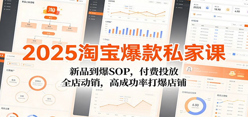 2025淘宝爆款私家课：新品到爆SOP，付费投放，全店动销，高成功率打爆店铺-紫橙网创项目网