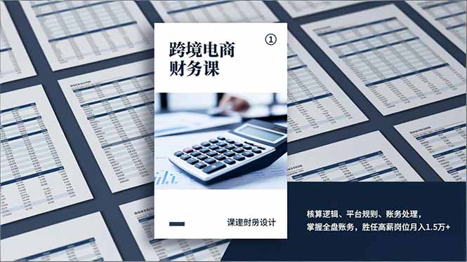 跨境电商财务课，核算逻辑、平台规则、账务处理，掌握全盘账务，胜任高薪岗位月入1.5万+-紫橙网创项目网