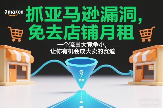 抓亚马逊漏洞,免去店铺月租,一个流量大竞争小,让你有机会成大卖的赛道-紫橙网创项目网