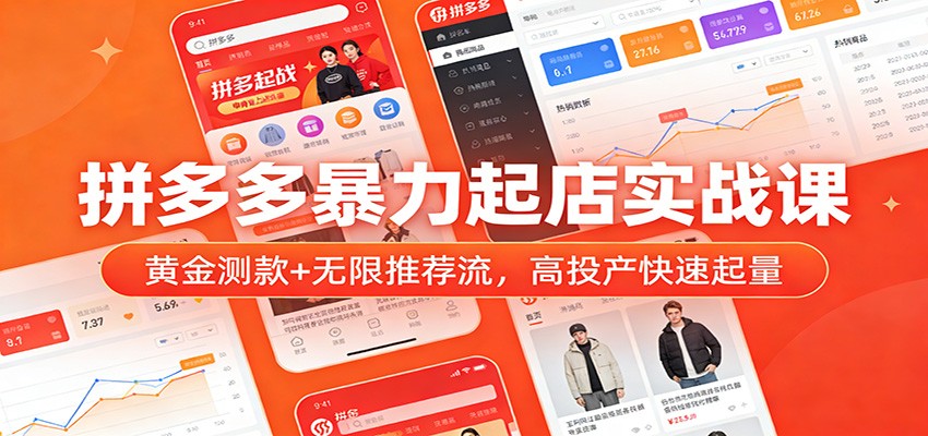 拼多多暴力起店实战课:黄金测款+无限推荐流,高投产快速起量-紫橙网创项目网