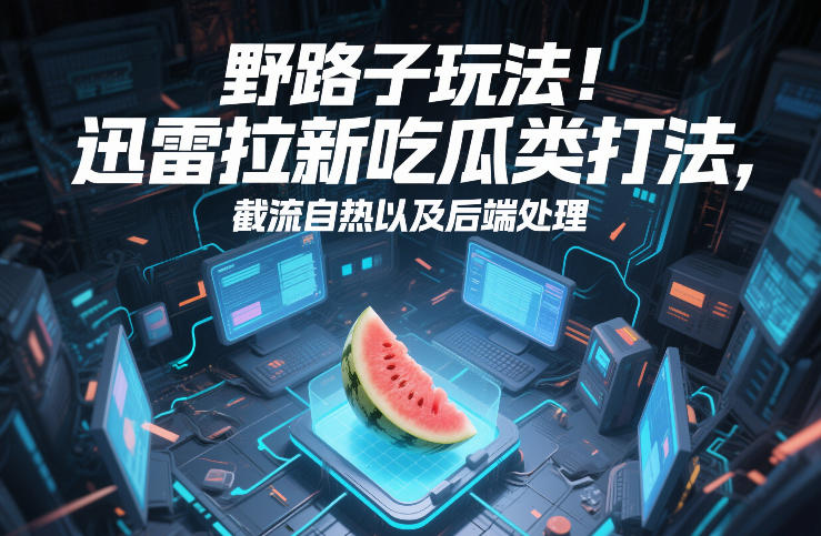 野路子玩法！迅雷拉新吃瓜类打法，截流自热以及后端处理-紫橙网创项目网