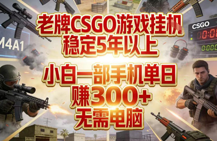 老牌CSGO游戏挂G,稳定5年以上,小白一部手机单日賺3张+,无需电脑-紫橙网创项目网