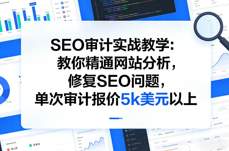 SEO审计实战教学：教你精通网站分析，修复SEO问题，单次审计报价5k美元以上-紫橙网创项目网