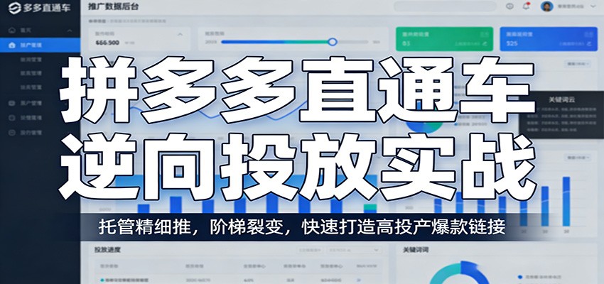 拼多多直通车逆向投放实战：托管精细推，阶梯裂变，快速打造高投产爆款链接-紫橙网创项目网