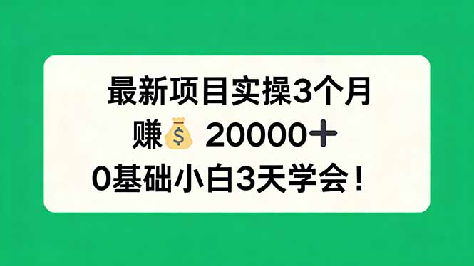 最新项目实操3个月，赚钱20000+，0基础小白3天学会！-紫橙网创项目网