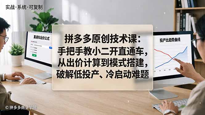 拼多多原创技术课:手把手教小二开直通车,从出价计算到模式搭建,破解低投产、冷启动难题-紫橙网创项目网