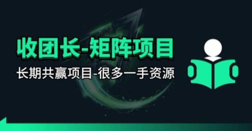 【团长合作】视频矩阵项目-紫橙网创项目网