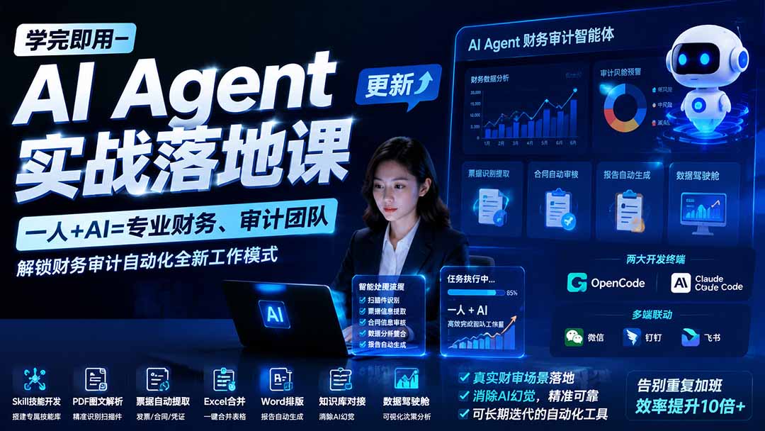 学完即用—AI Agent实战落地课-更新：一人+AI=专业财务、审计团队，解锁财务审计自动化全新工作模式-紫橙网创项目网